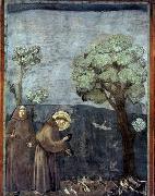 Sermon to the Birds Giotto